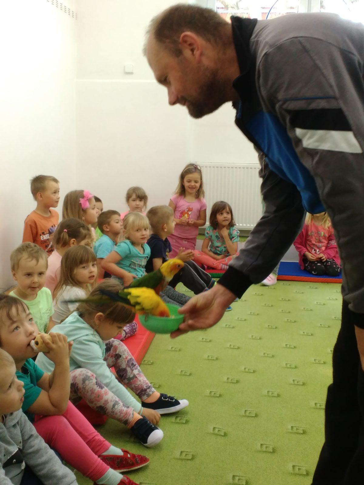 Papoušci ve školce - 9