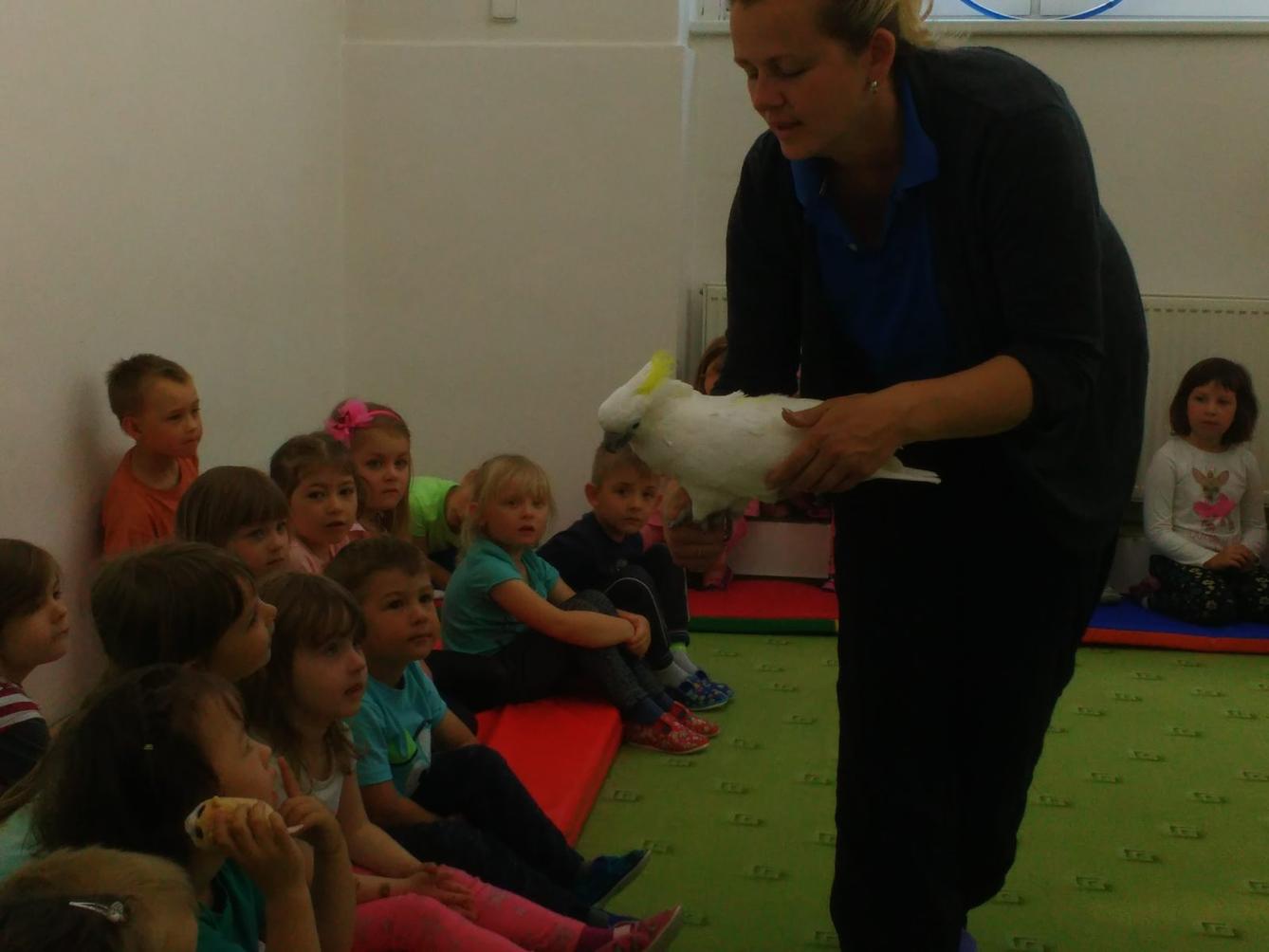 Papoušci ve školce - 15