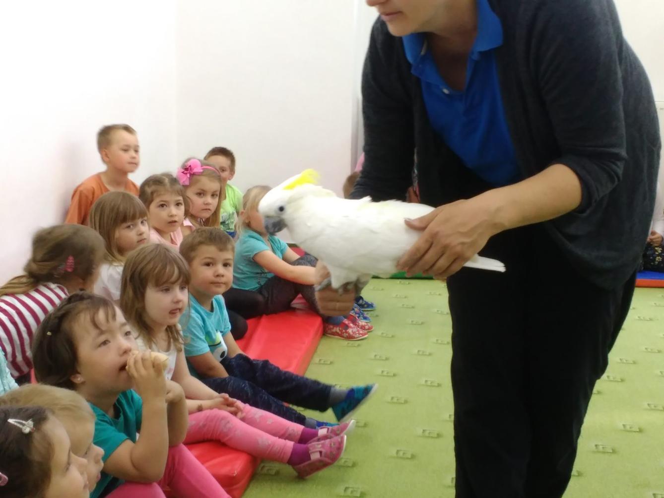 Papoušci ve školce - 16