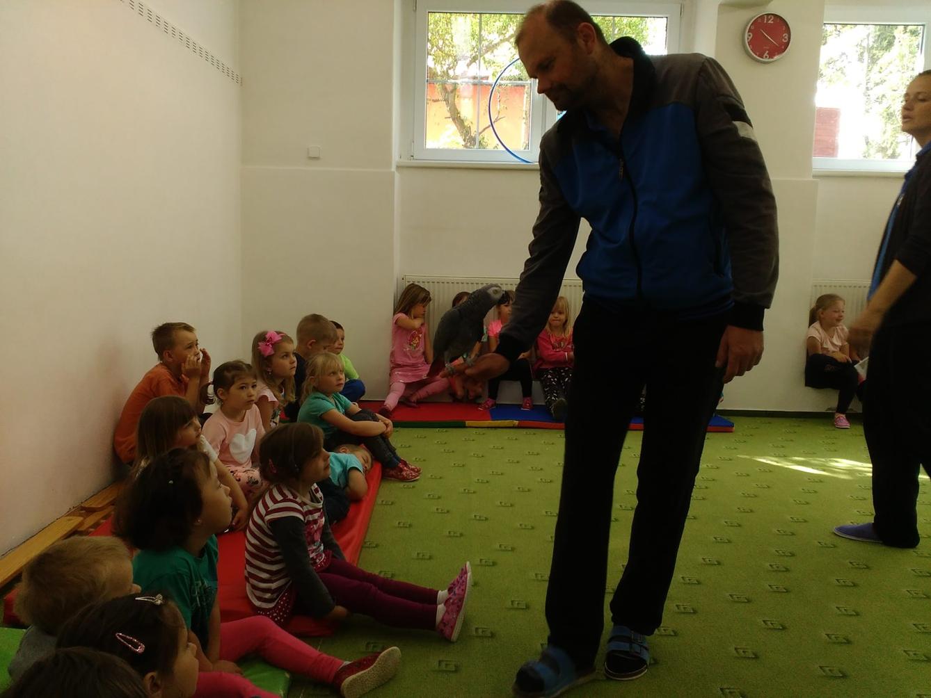 Papoušci ve školce - 19