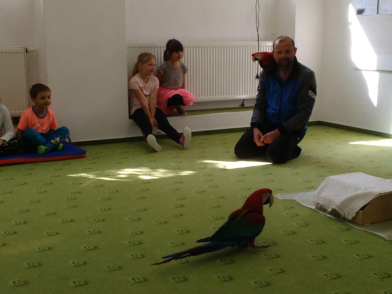 Papoušci ve školce - 35