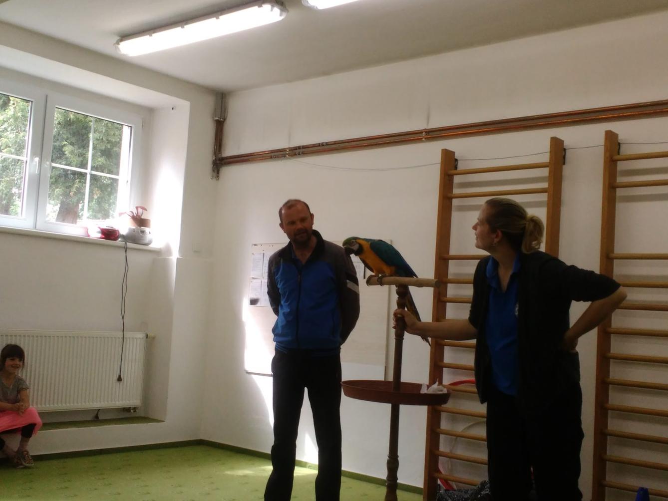 Papoušci ve školce - 39