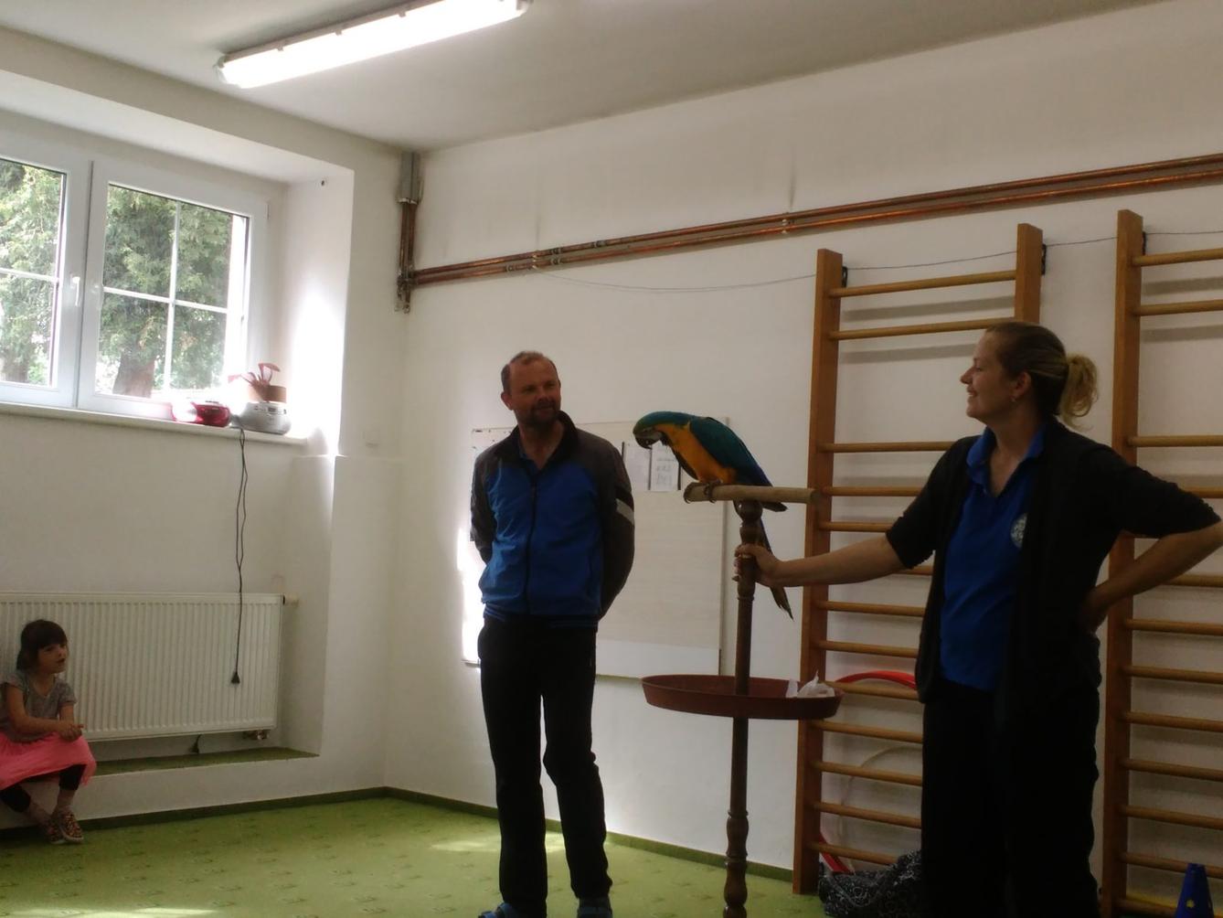 Papoušci ve školce - 40