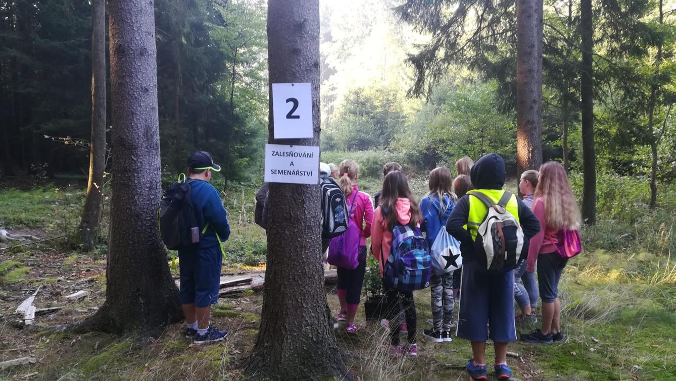 Do lesa s lesníkem - 12