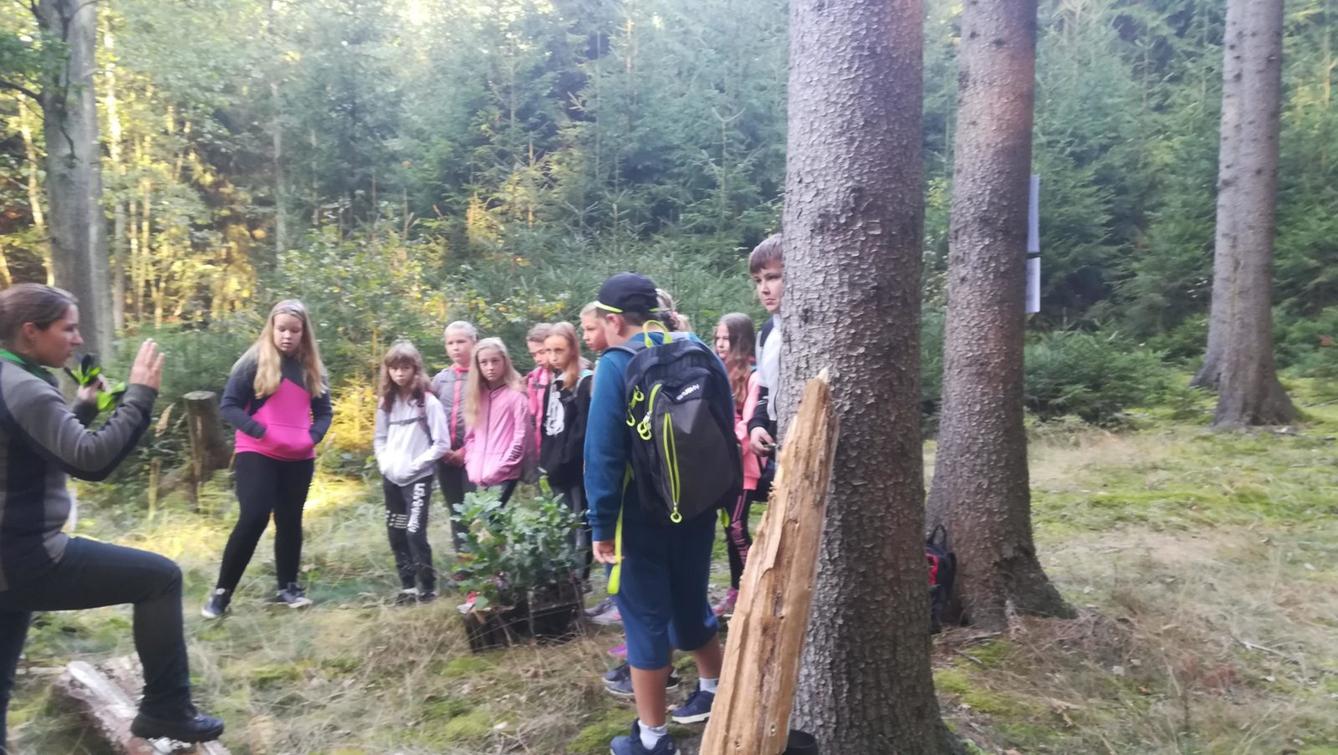 Do lesa s lesníkem - 13