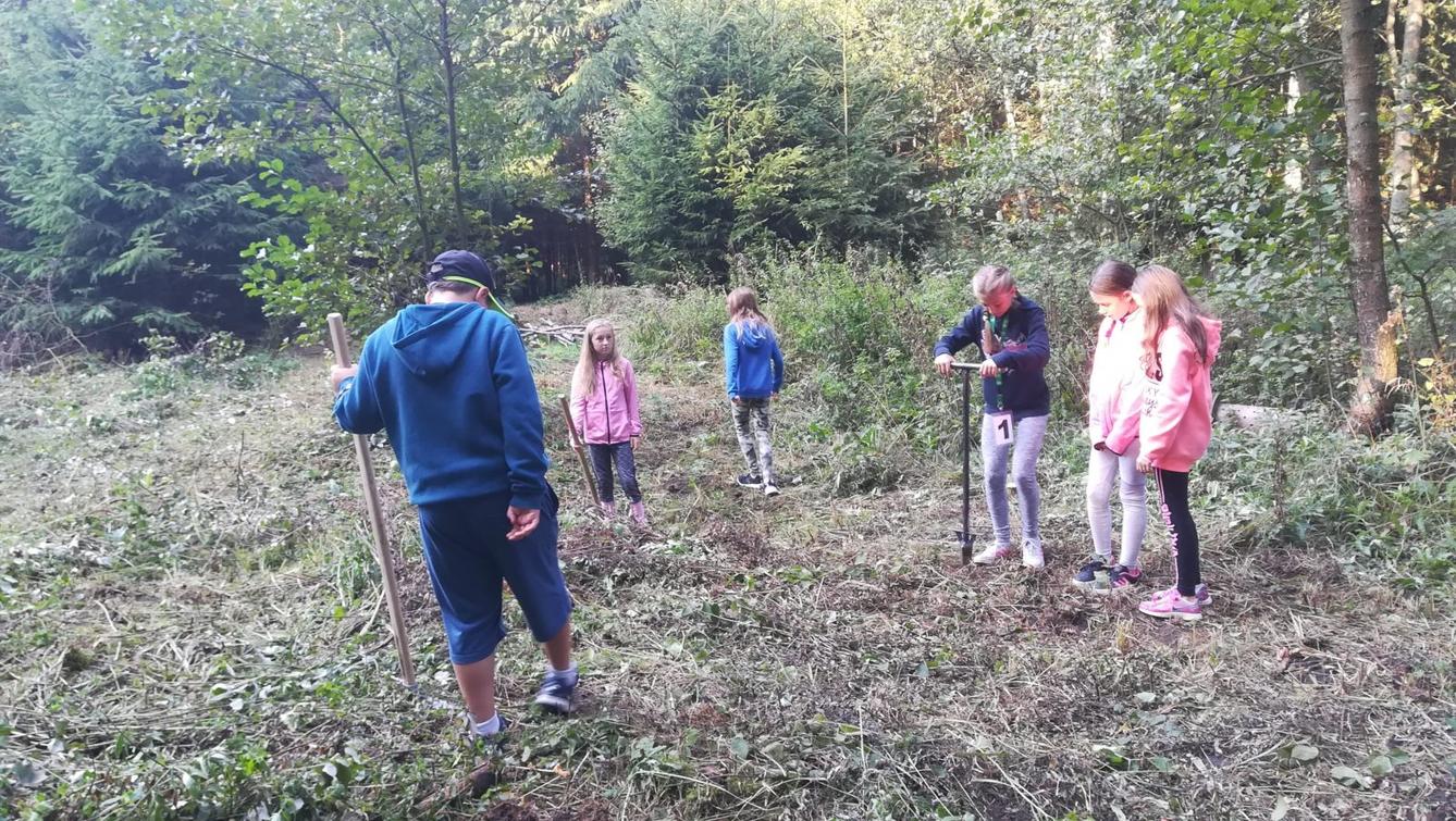 Do lesa s lesníkem - 16