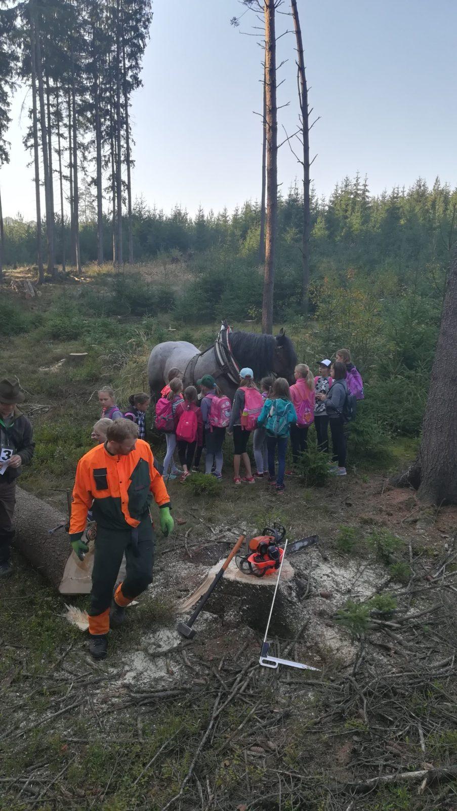 Do lesa s lesníkem - 24