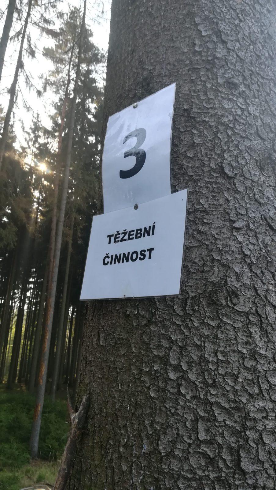 Do lesa s lesníkem - 28