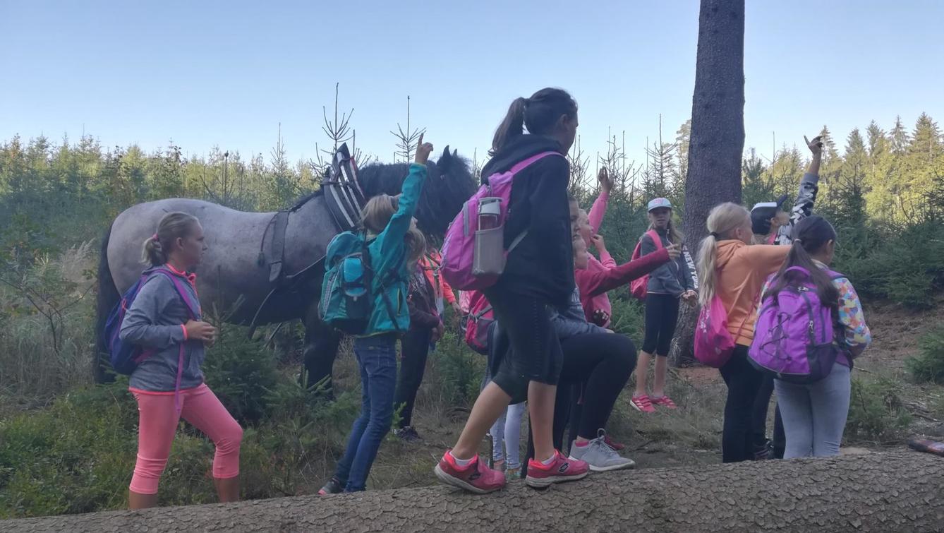 Do lesa s lesníkem - 29