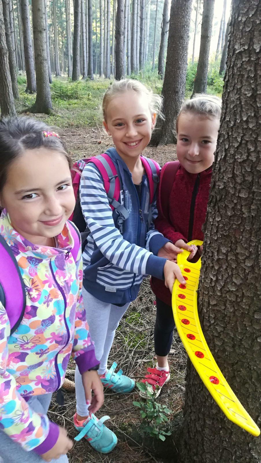 Do lesa s lesníkem - 37