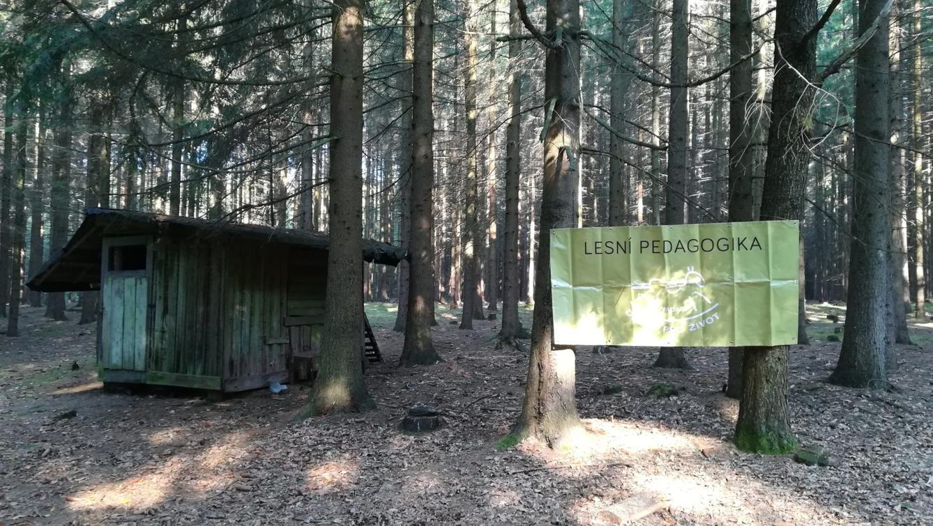 Do lesa s lesníkem - 44