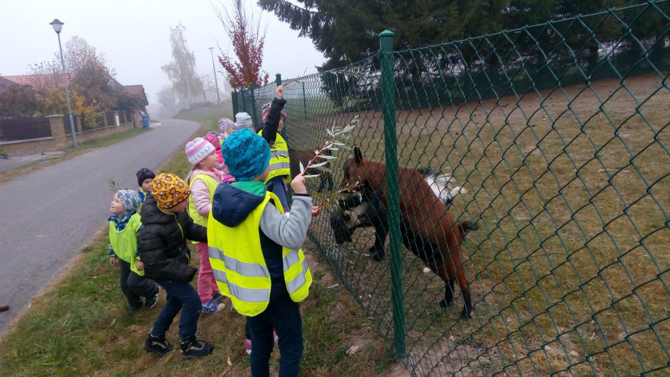 podzim u Klokánků I.- malujeme, tvoříme, hrajeme si - 62
