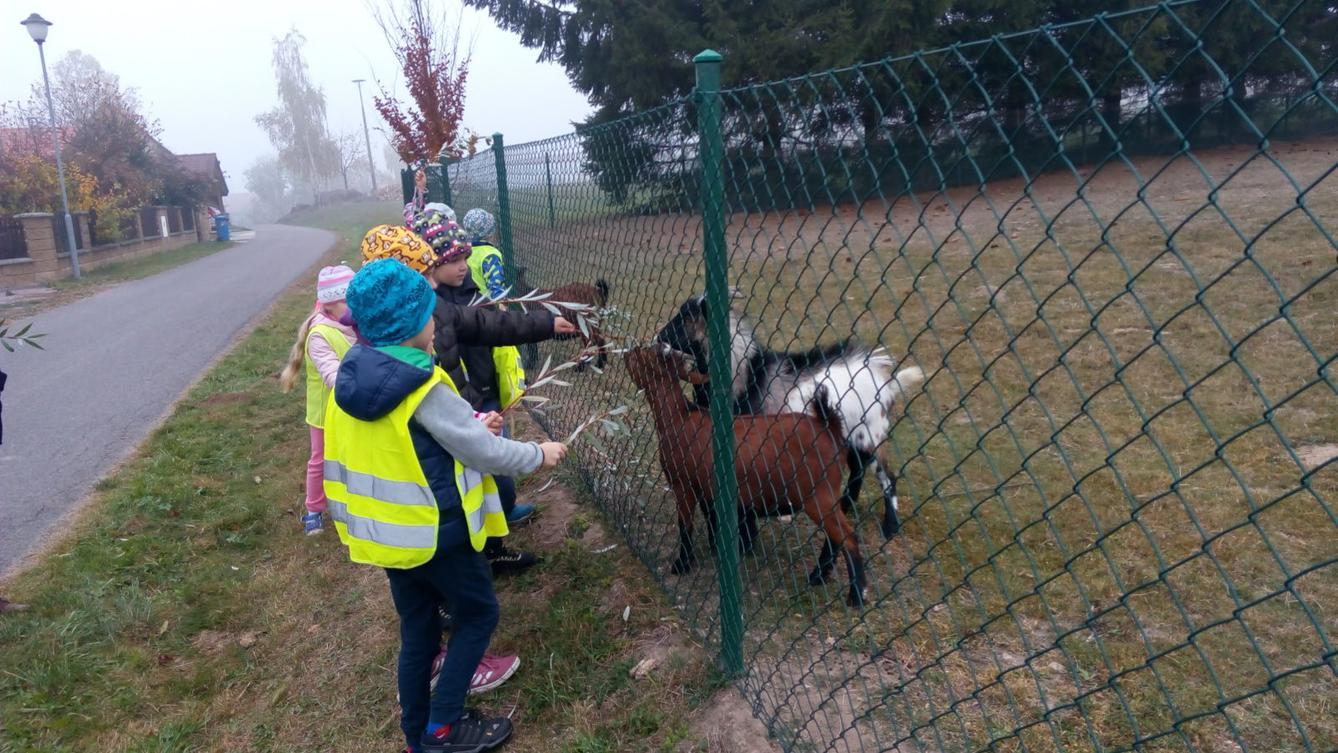 podzim u Klokánků I.- malujeme, tvoříme, hrajeme si - 65