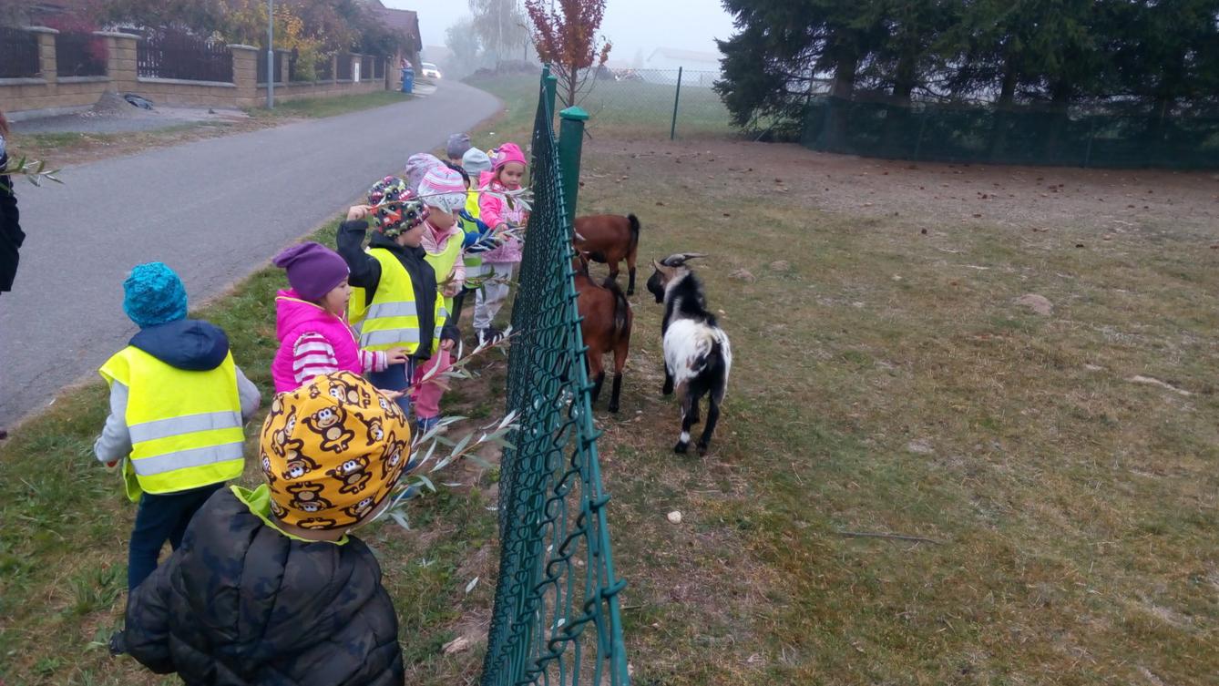 podzim u Klokánků I.- malujeme, tvoříme, hrajeme si - 66