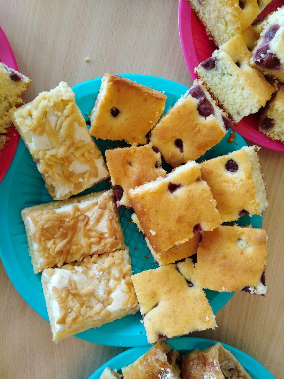 workshop zahrada:-) - 14