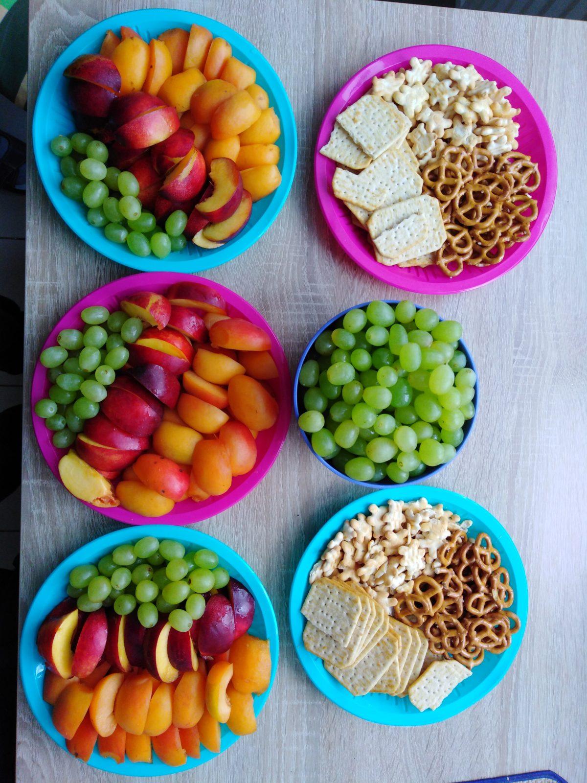 workshop zahrada:-) - 19