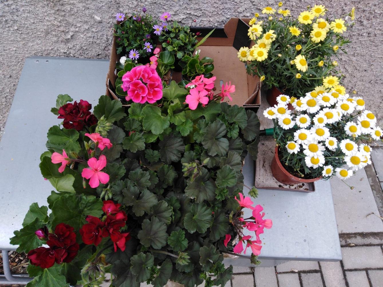 workshop zahrada:-) - 20