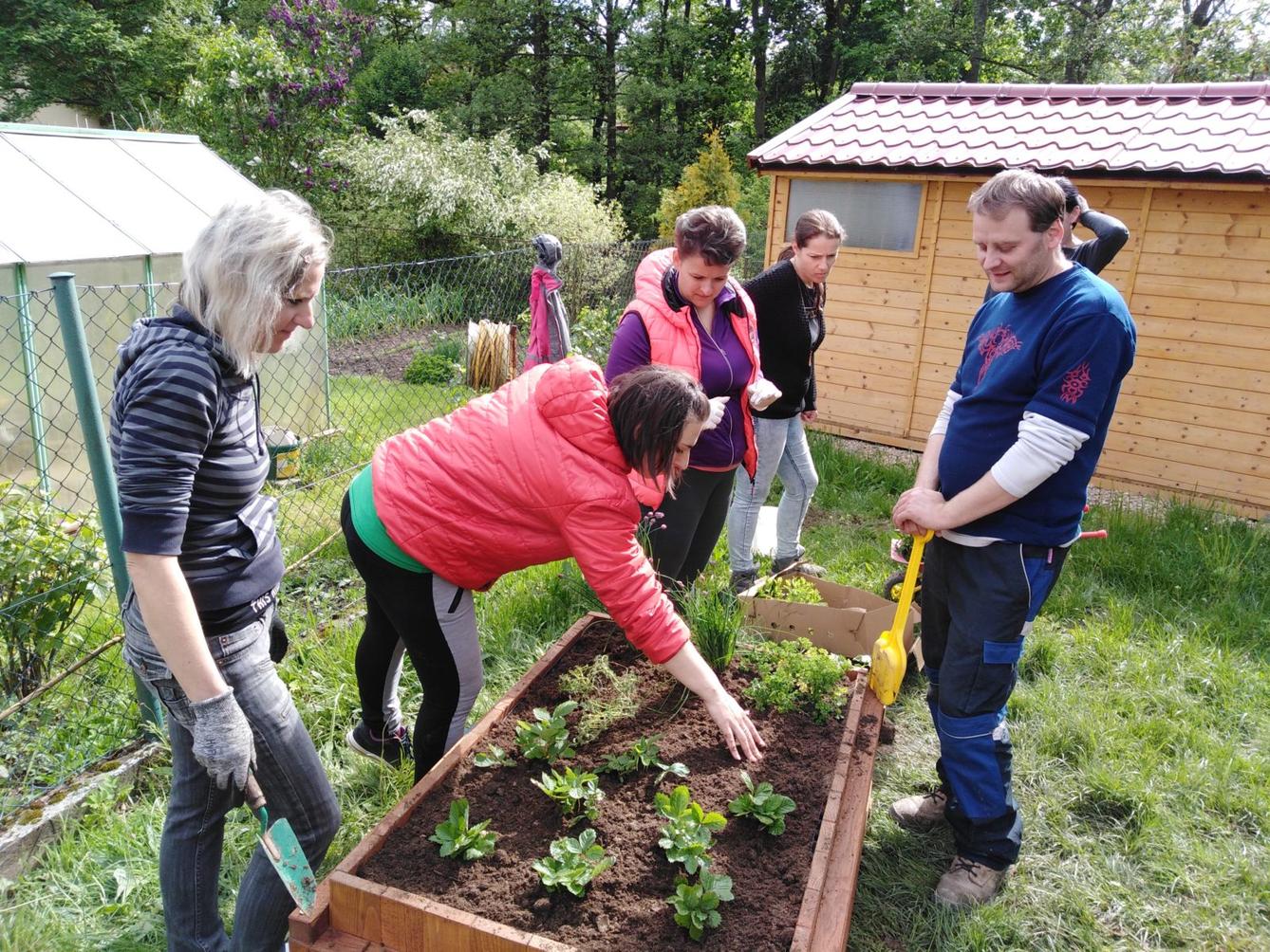 workshop zahrada:-) - 37