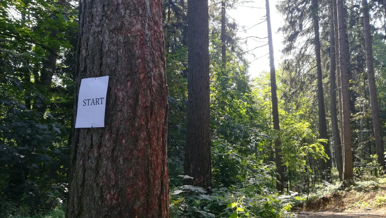 Pohádkový les - 18