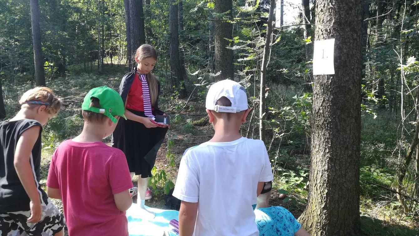 Pohádkový les - 20