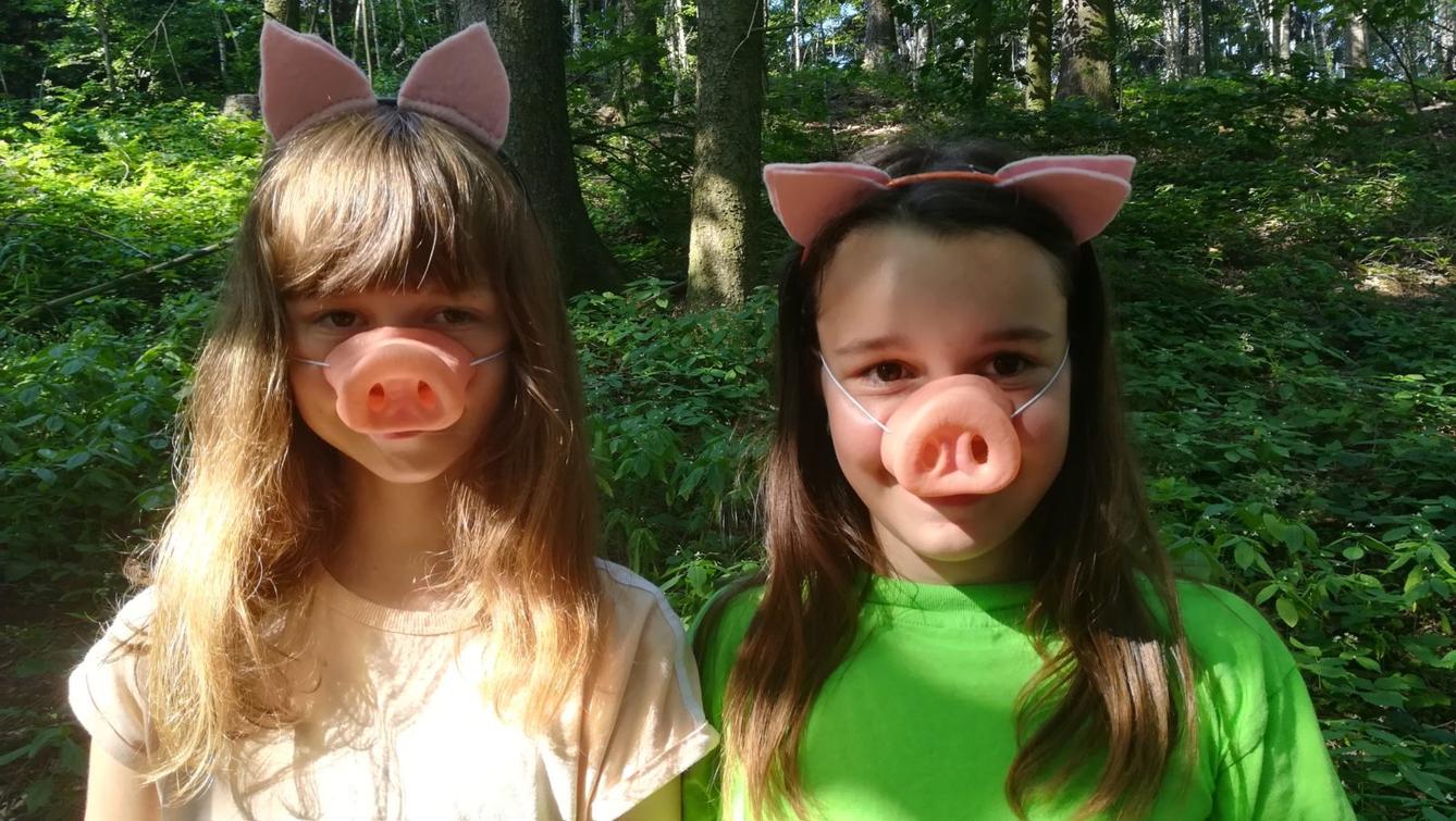 Pohádkový les - 21