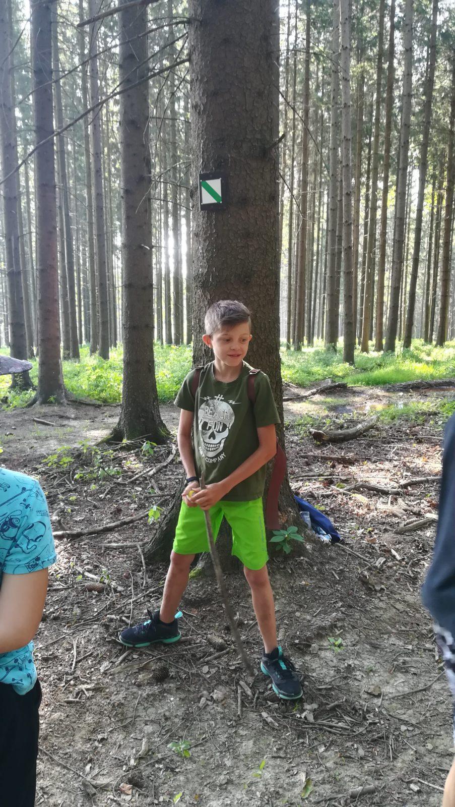 Pohádkový les - 23