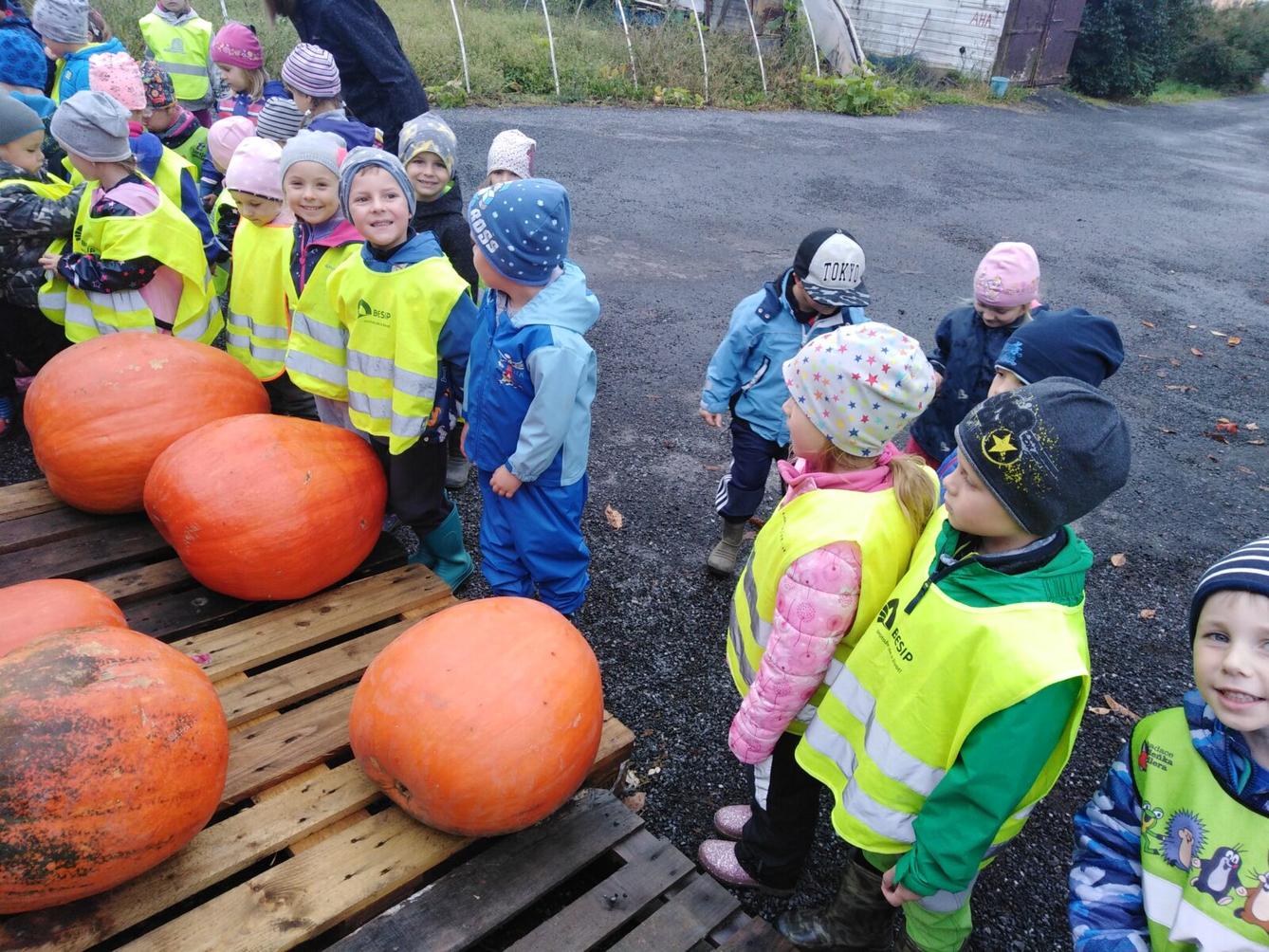 Vycházka k dýním - 5