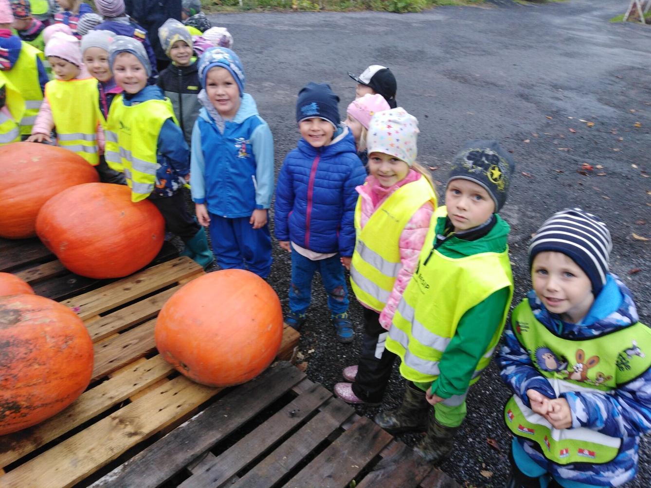 Vycházka k dýním - 7