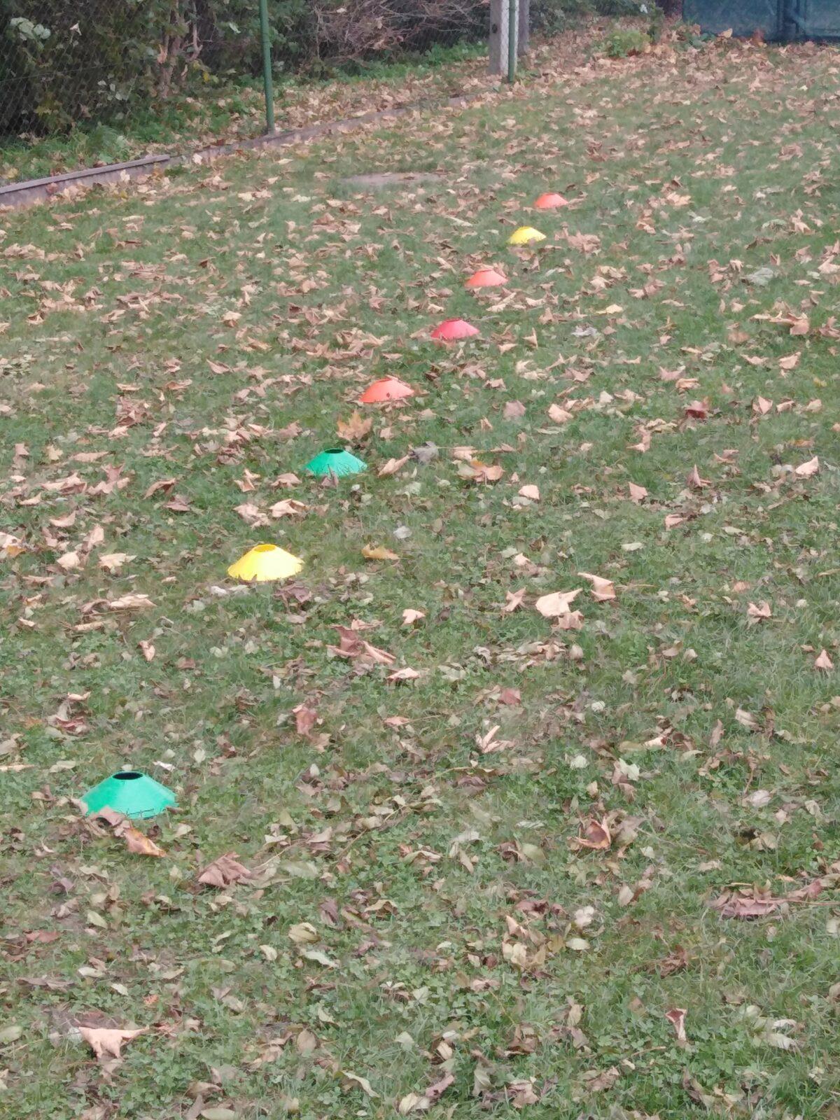 Bramboriáda v MŠ :-) - 42