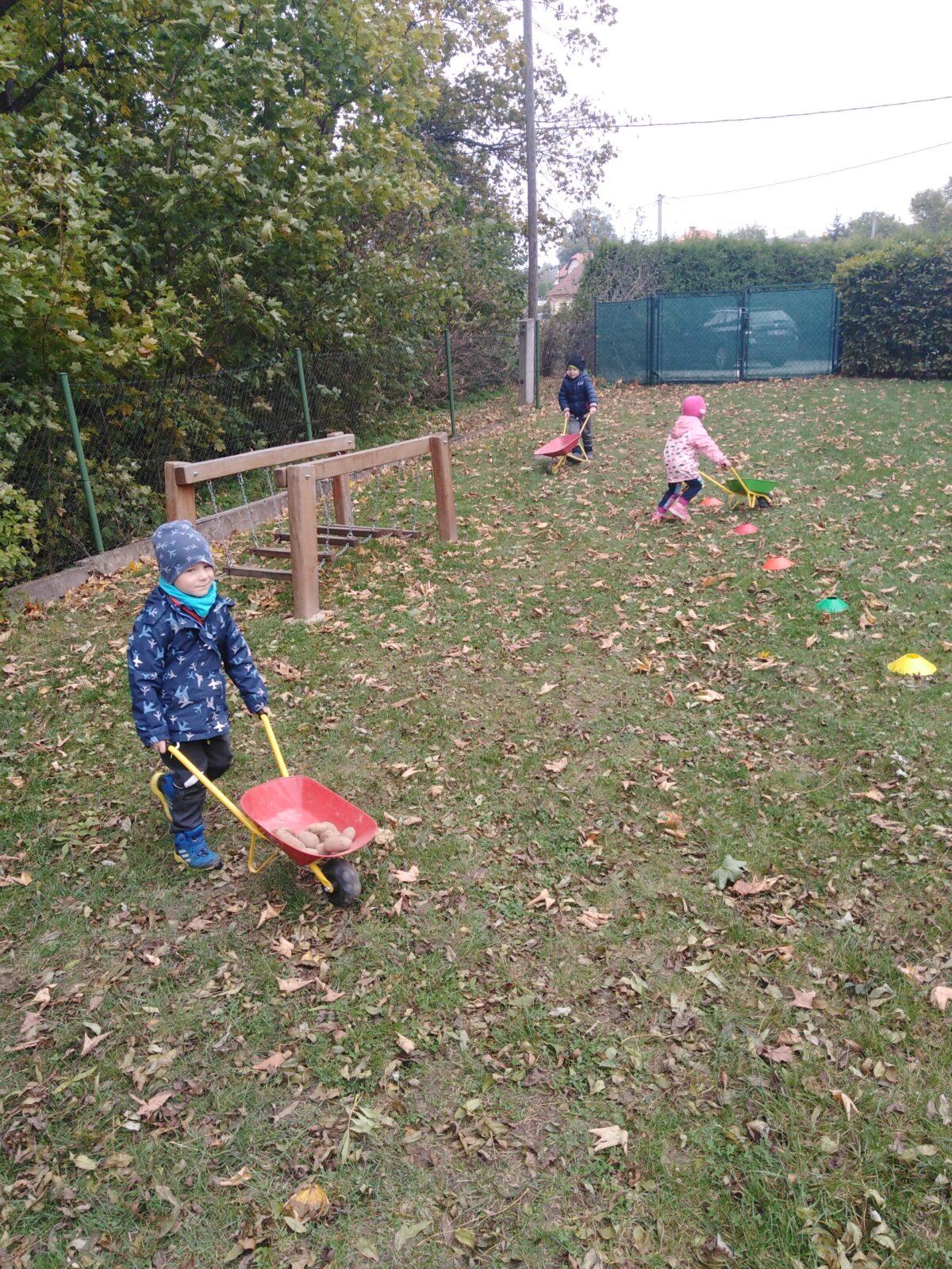 Bramboriáda v MŠ :-) - 64