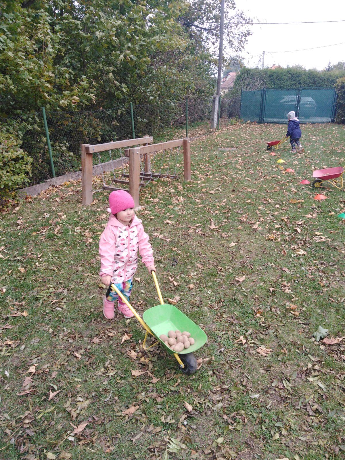 Bramboriáda v MŠ :-) - 68