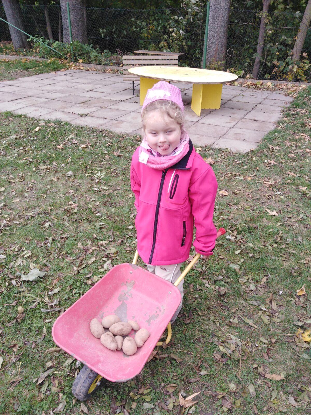 Bramboriáda v MŠ :-) - 101