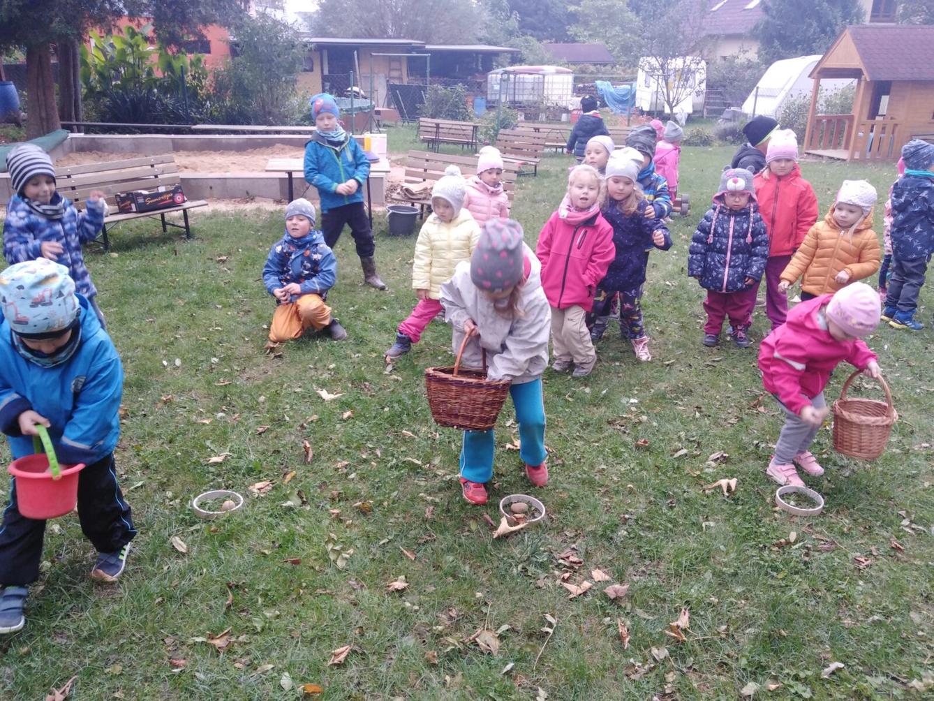 Bramboriáda v MŠ :-) - 137