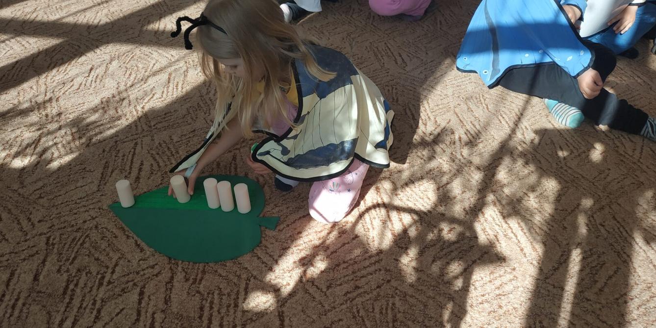 Program Motýlci - 8