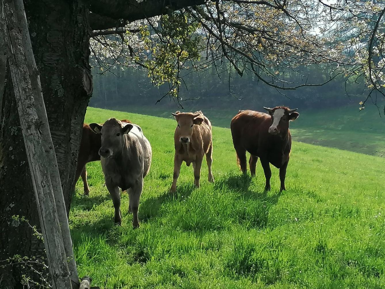 Čarodějnický týden v MŠ :-) - 83