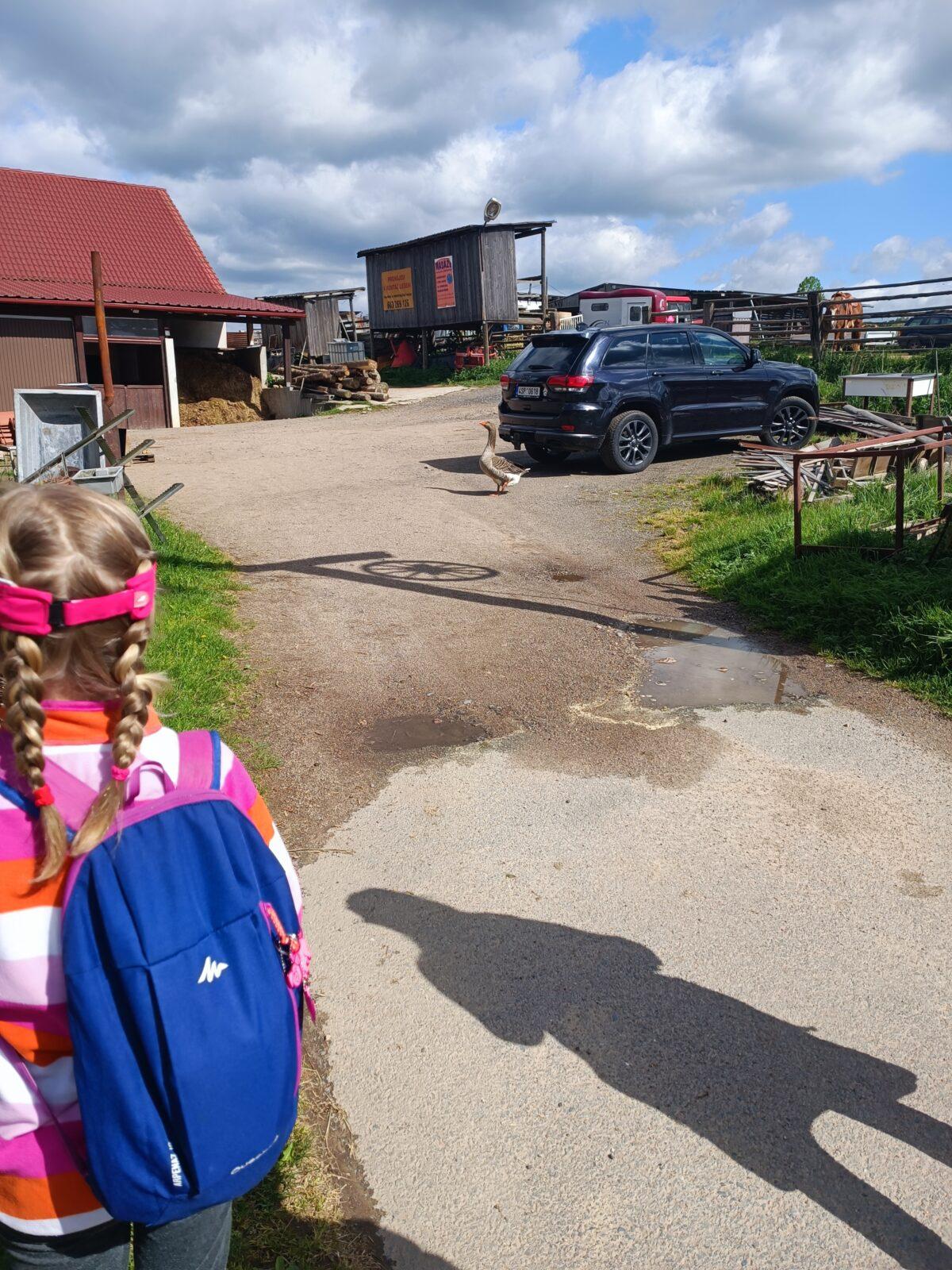 TLAPKY - České  Libchavy - 3