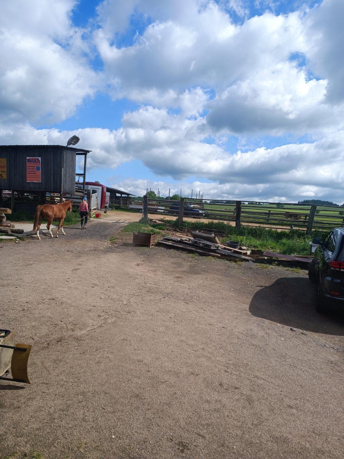 TLAPKY - České  Libchavy - 11