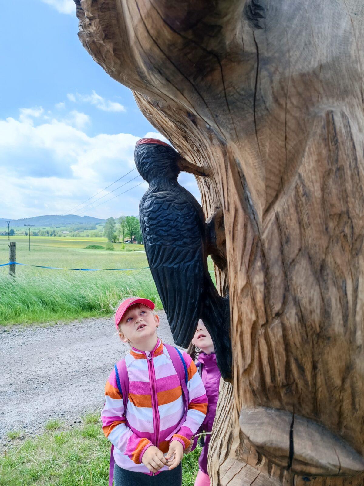 TLAPKY - České  Libchavy - 23