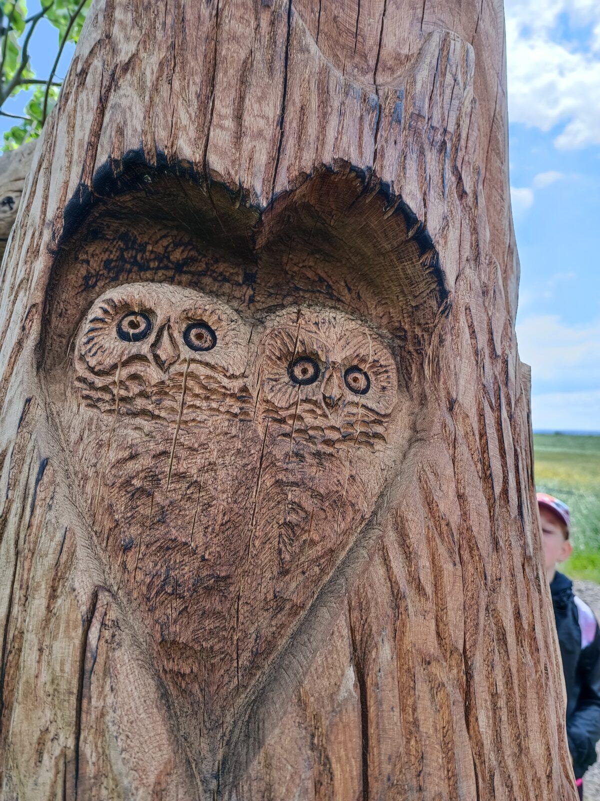 TLAPKY - České  Libchavy - 24