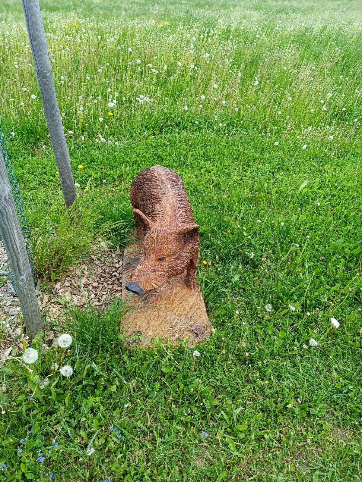 TLAPKY - České  Libchavy - 29