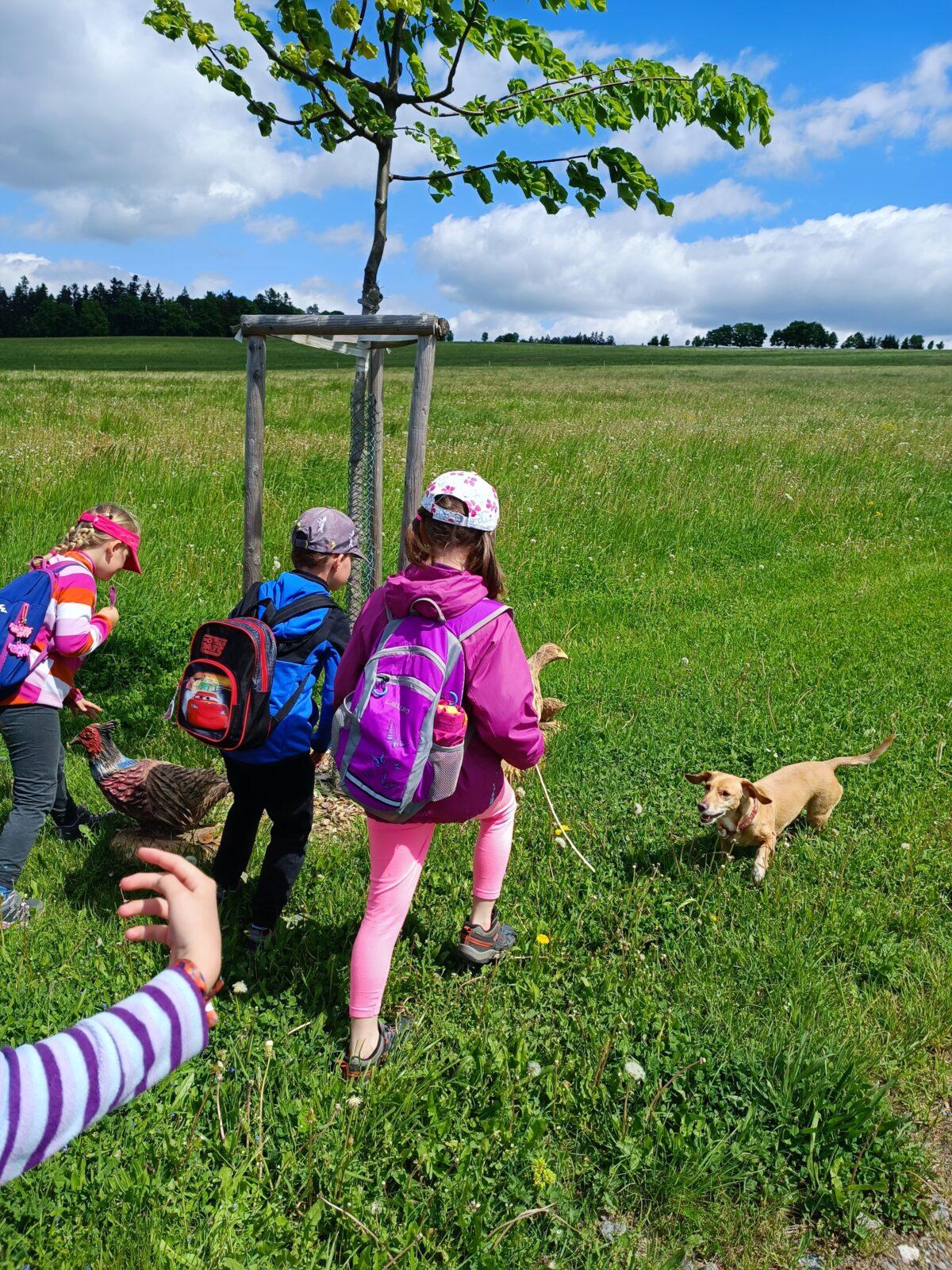 TLAPKY - České  Libchavy - 30