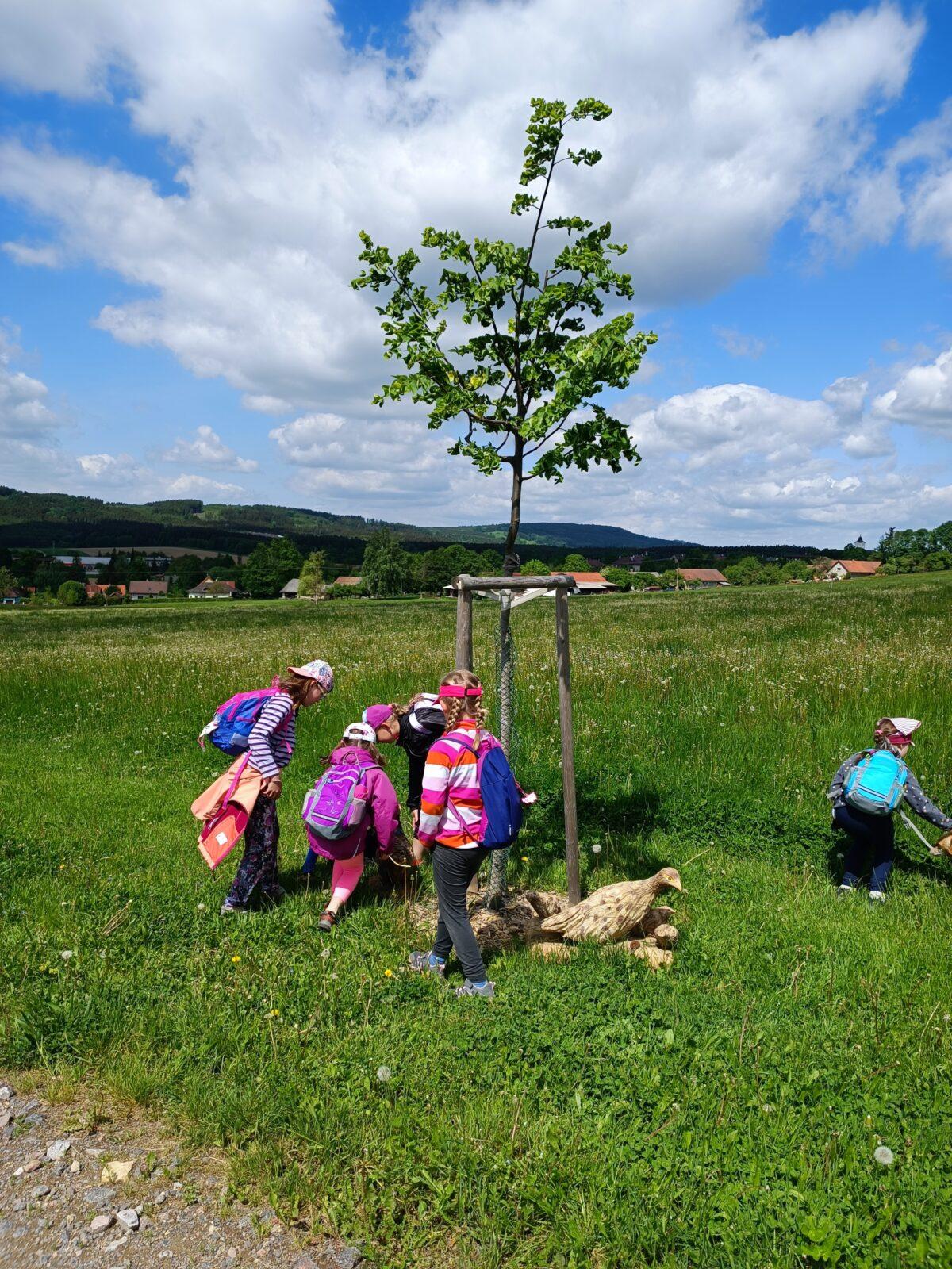 TLAPKY - České  Libchavy - 31