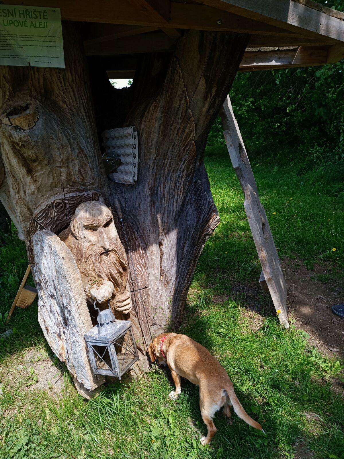 TLAPKY - České  Libchavy - 37