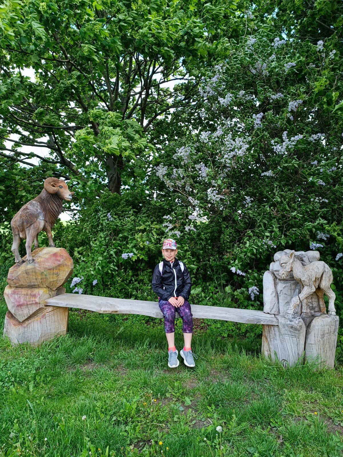 TLAPKY - České  Libchavy - 43