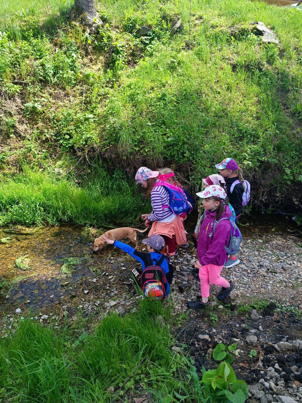 TLAPKY - České  Libchavy - 50