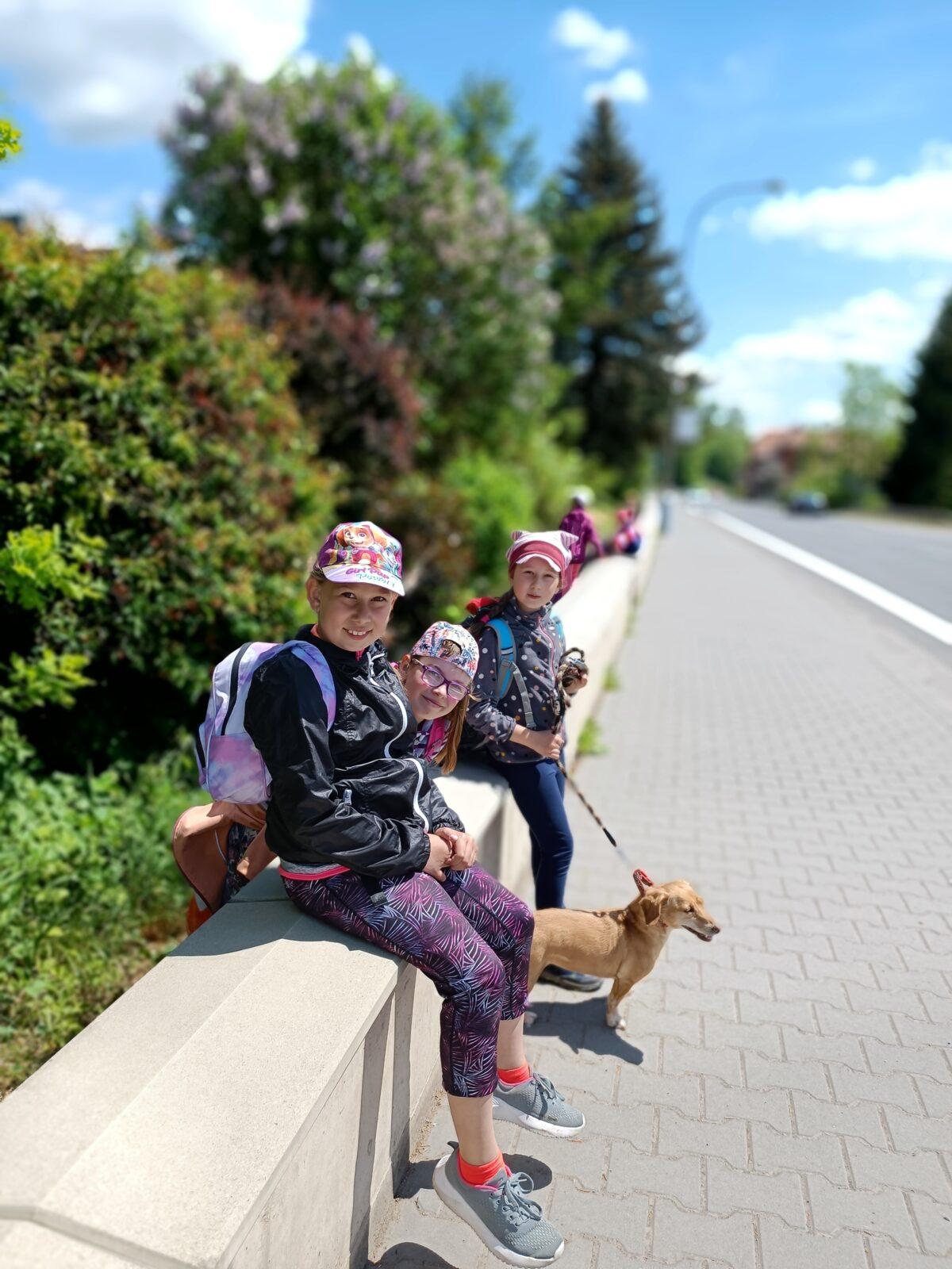 TLAPKY - České  Libchavy - 56