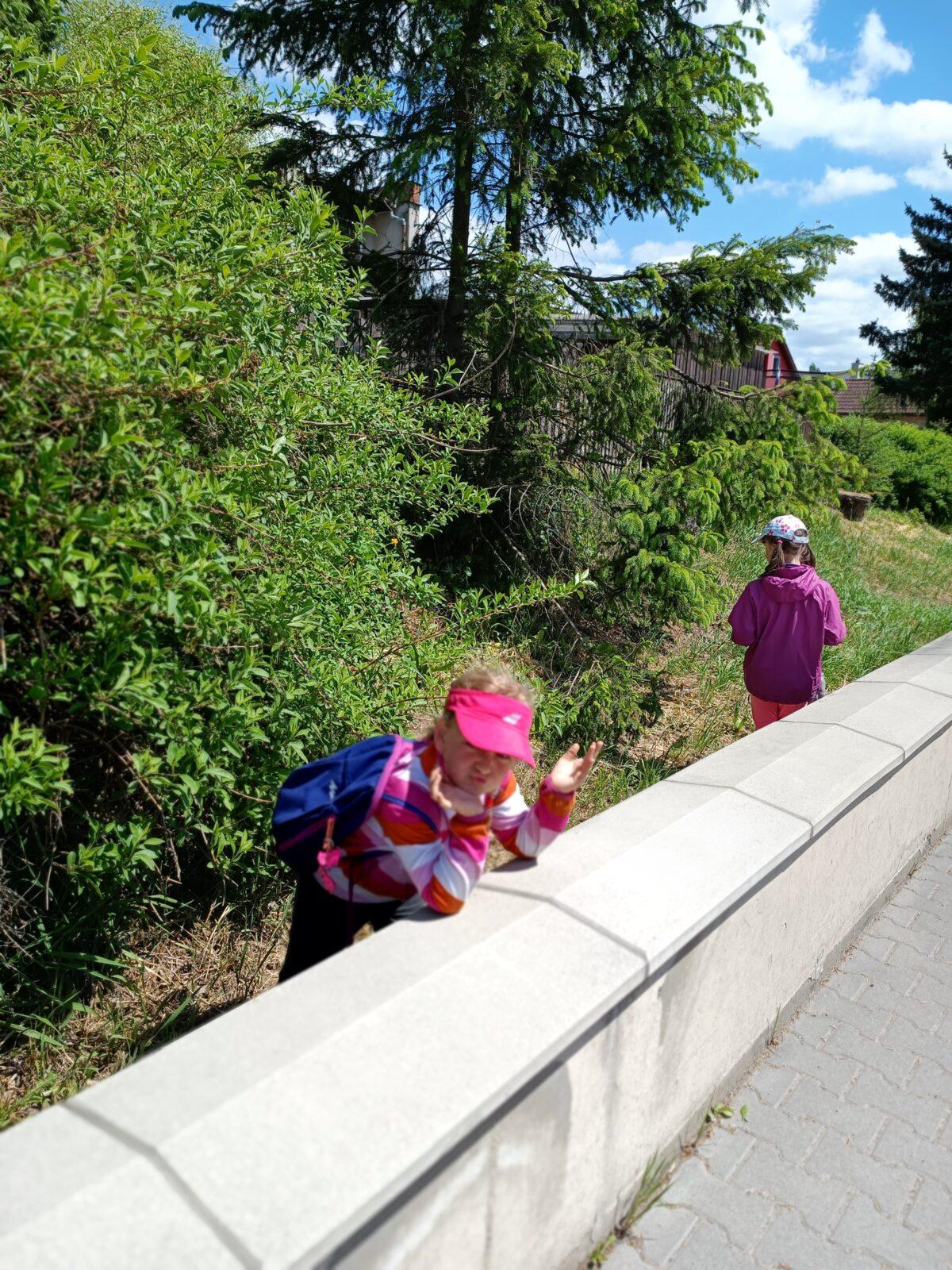 TLAPKY - České  Libchavy - 57