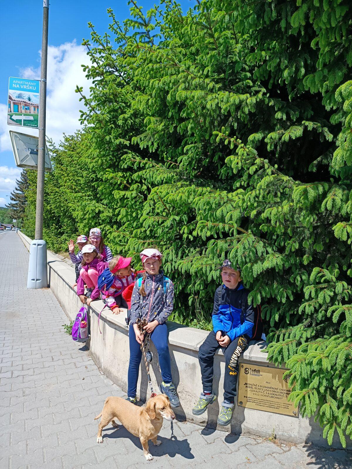 TLAPKY - České  Libchavy - 59