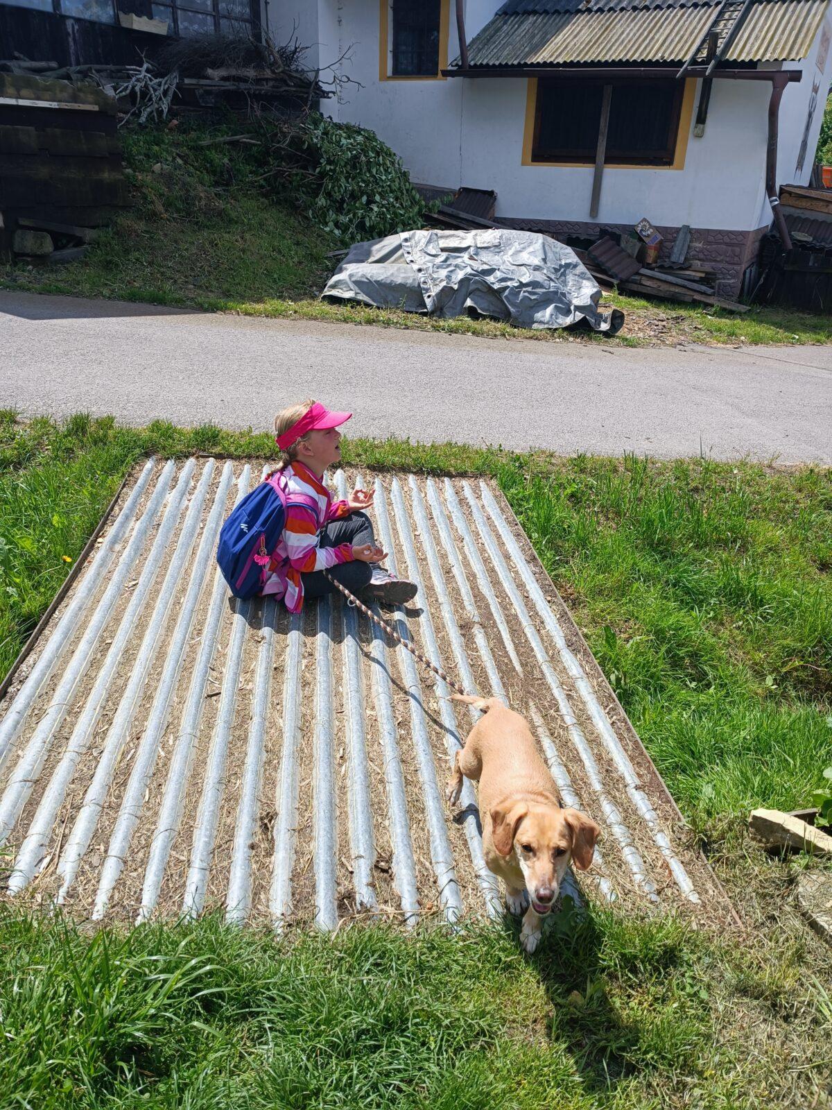 TLAPKY - České  Libchavy - 61