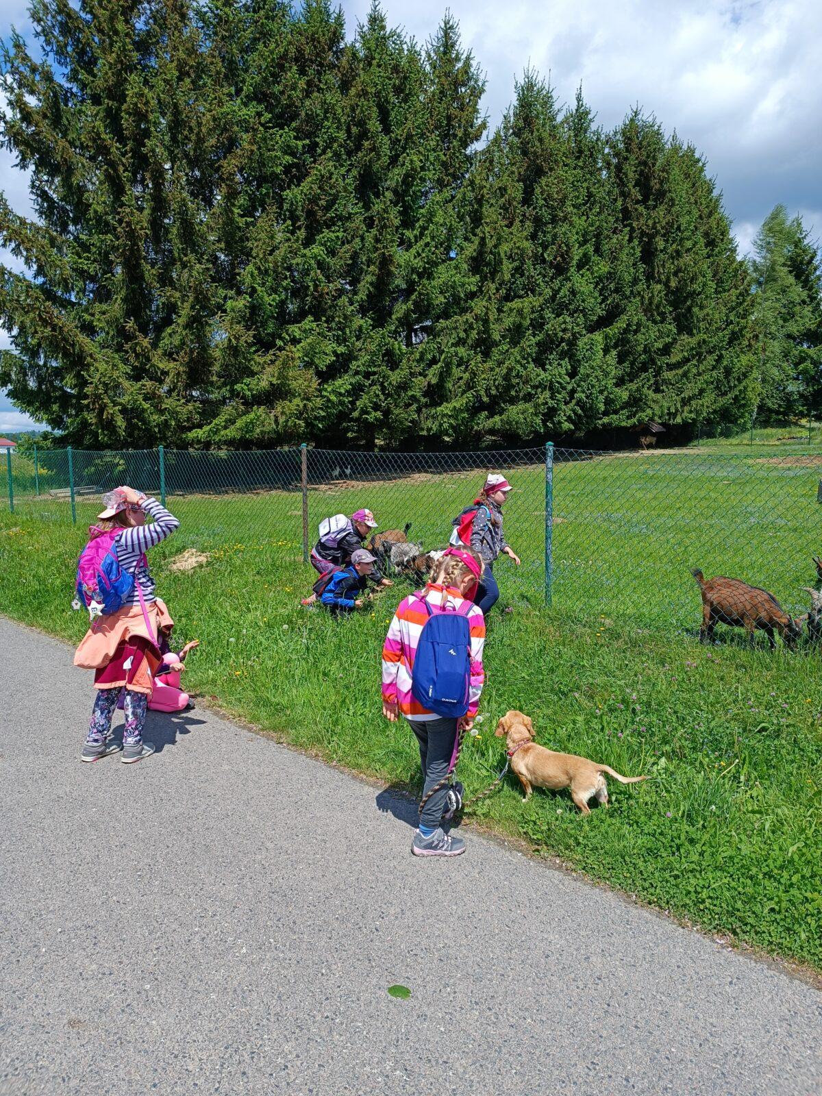 TLAPKY - České  Libchavy - 64